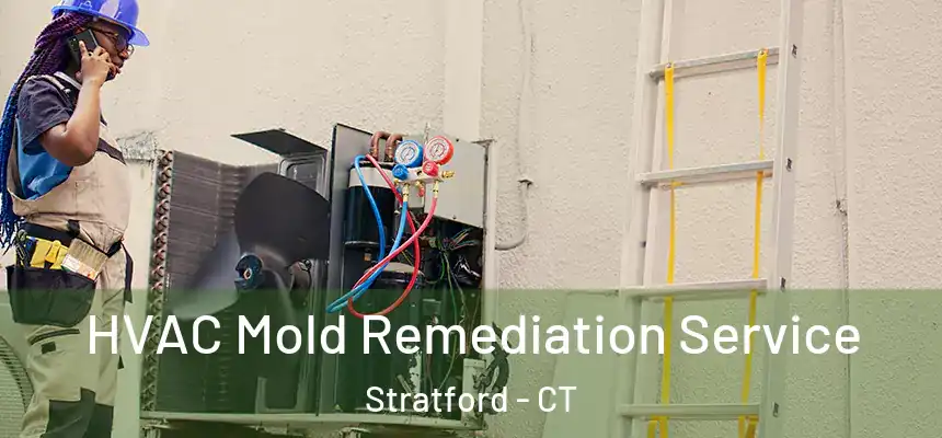  HVAC Mold Remediation Service Stratford - CT