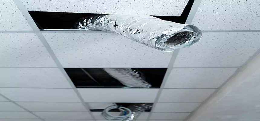 Affordable HVAC Sanitizing After Pest Removal in Stratford