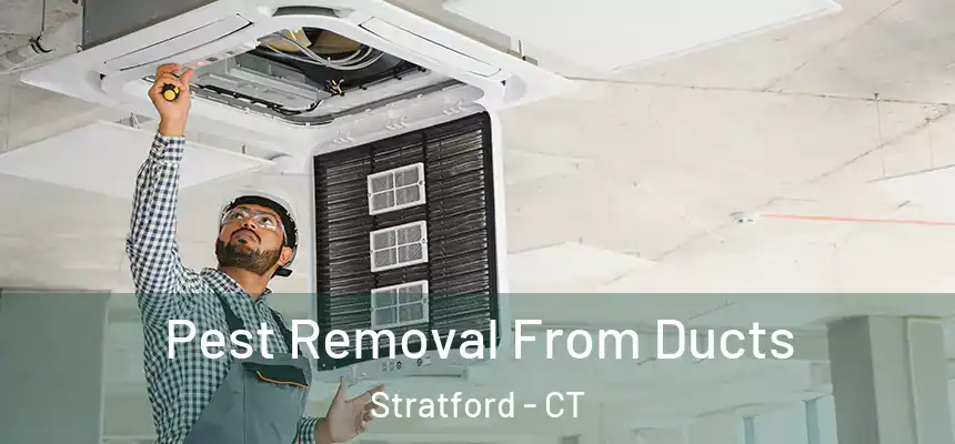  Pest Removal From Ducts Stratford - CT