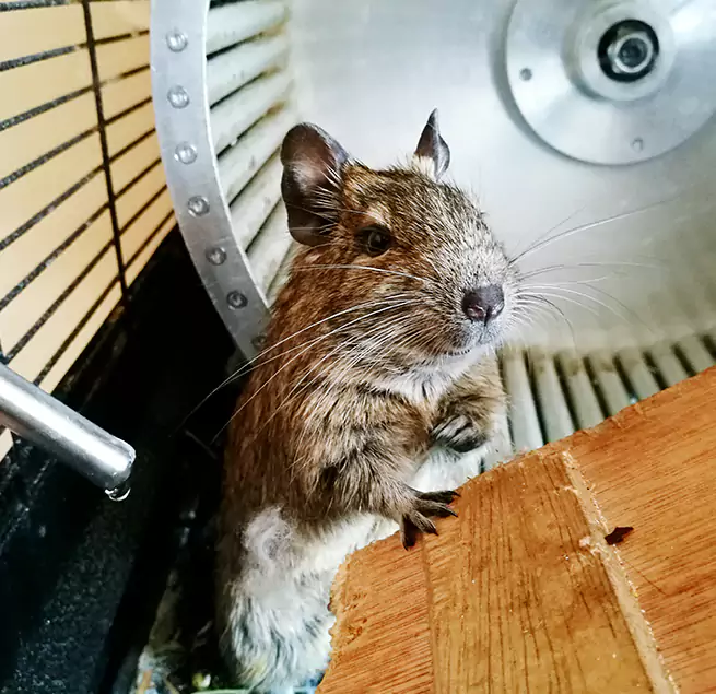 Why Homeowners & Businesses Trust Us Stratford, CT